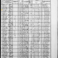 Sarah Corrigan; 1905 Census