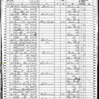 William Gleeson; 1860 Census