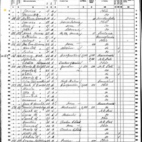 Daniel Curtin; 1860 Census (2)