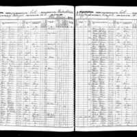 Arthur McAvoy; 1855 Census