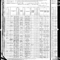 Julia Farmer; 1880 Census