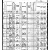Patrick DeCourcy; 1880 Census (1)