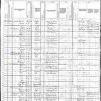 Ellen Corcoran; 1880 Census