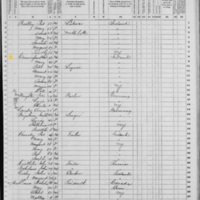Bernard Cunningham; 1870 Census