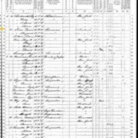 Daniel Finn; 1870 Census