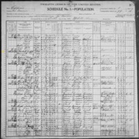 Richard Dowdall; 1900 Census