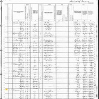 Paul Brennan; 1880 Census