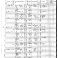 Julia O'Dea; 1855 Census