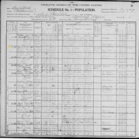 John Touhill; 1900 Census