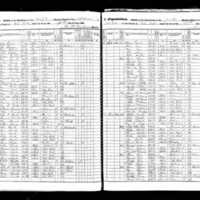 Catherine and James Lynch; 1855 Census