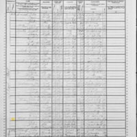 Hugh Freel; 1905 Enumeration