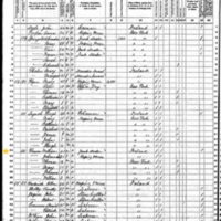 William Gleeson; 1870 Census