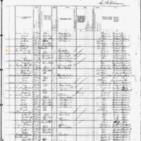 Daniel Curtin; 1880 Census