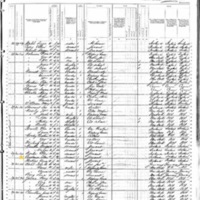 Ellen Constant; 1880 Census
