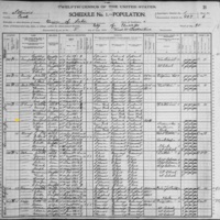 Margaret O'Leary; 1900 Census