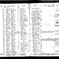 Dolly Hannah's Test Book