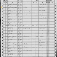Thomas O'Toole Hartigan; 1860 Census