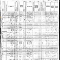 Mary Ann Sullivan; 1880 Census
