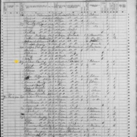 Michael Connell; 1855 Census