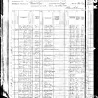 Patrick Nolan; 1880 Census
