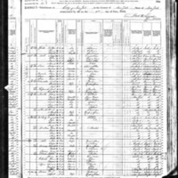 Anne Abbs; 1880 Census
