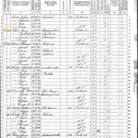 Fanny O'Neill; 1870 Census