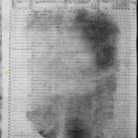 Dolly and John Hannah; 1855 Census