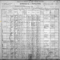 David Fleming; 1900 Census
