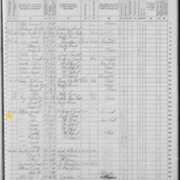 James and Honora Galavan; 1870 Census