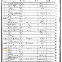 Mary Ann Corrigan; 1850 Census