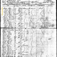 Peter and Mary Shea on Ship Manifest