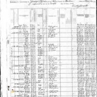 Bridget Clifford; 1880 Census