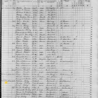 Patrick Foley; 1855 Census