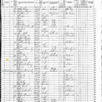 Robert Kelly; 1855 Census