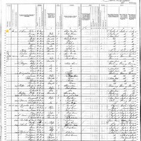 Richard O'Connor; 1880 Census