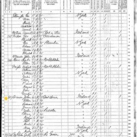 Ellen Corcoran; 1870 Census