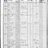 Patrick Sheran; 1860 Census