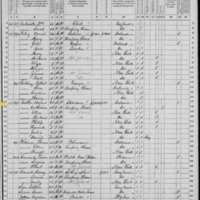 Edmund Butler; 1870 Census