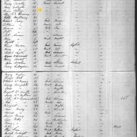 Mary Solan on Ship Manifest