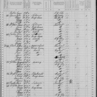 Mary Harkin; 1870 Census (1)