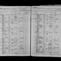 Michael Garragan; 1855 Census