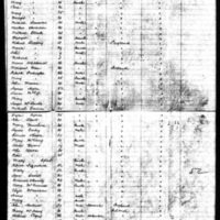 Cornelius Sullivan on Ship Manifest (1)