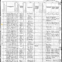 Timothy Cleary; 1880 Census