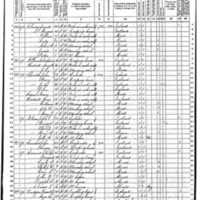 Thomas O'Toole Hartigan; 1870 Census