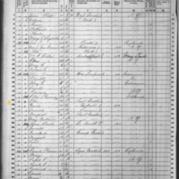 David and Ellen Fleming; 1860 Census