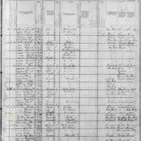 Ann Dowdney; 1880 Census