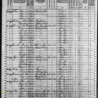 Michael Foley; 1870 Census