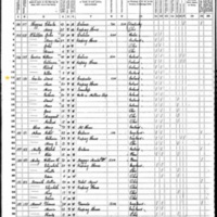 Daniel Curtin; 1870 Census