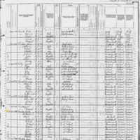 Terence Connelly; 1880 Census
