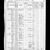 Ann and Timothy Driscoll; 1870 Census